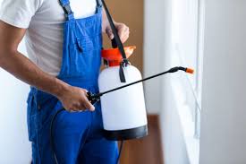 Real Estate Pest Inspections in Matheny, CA